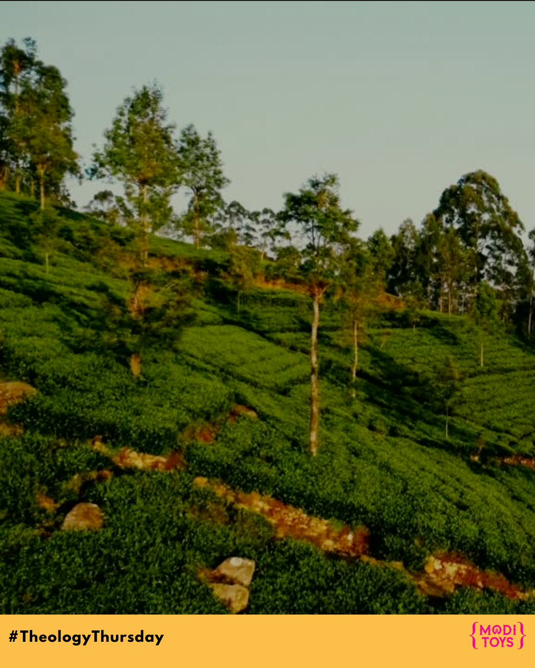 Why is Kerala known as God's Own Country
